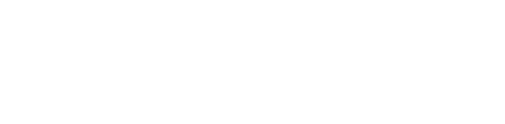 Logo Malavasi