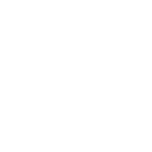 Logo Malavasi